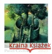 Pavel Čech kalendář 2025 Pavel Čech 8594185690191 Petrkov - książka