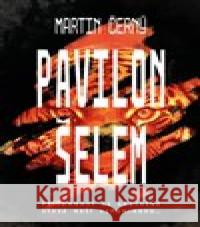 Pavilon šelem Martin Černý 9788027744763 Vendeta - książka