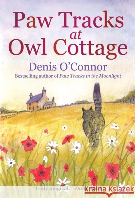 Paw Tracks at Owl Cottage Denis O'Connor 9781849016407 Little, Brown Book Group - książka