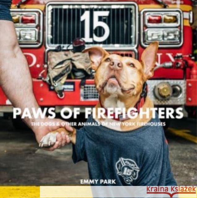 Paws of Firefighters Emmy Park 9780764367342 Schiffer Publishing Ltd - książka