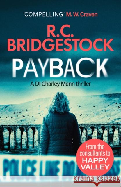 Payback R.C. Bridgestock 9781800323254 Canelo - książka