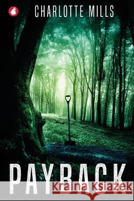 Payback Charlotte Mills 9783963241253 Ylva Verlag E.Kfr. - książka