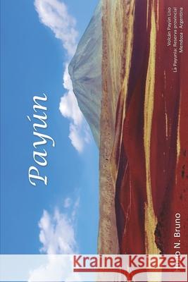 Payún Bruno, Hugo N. 9798454034894 Independently published - książka