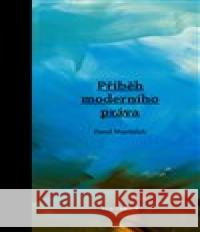 Příběh moderního práva Pavel Maršálek 9788087284667 Auditorium - książka