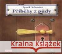 Příběhy z půdy Hynek Schuster 9788088068327 Leschinger Martin - Flétna - książka