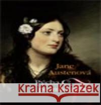 Pýcha a přemlouvání Jane AustenovÃ¡ 9788073353247 Leda - książka