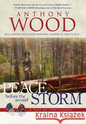 Peace Before the Second Storm: A Story of the Civil War Anthony Wood 9781633738041 Oghma Creative Media - książka
