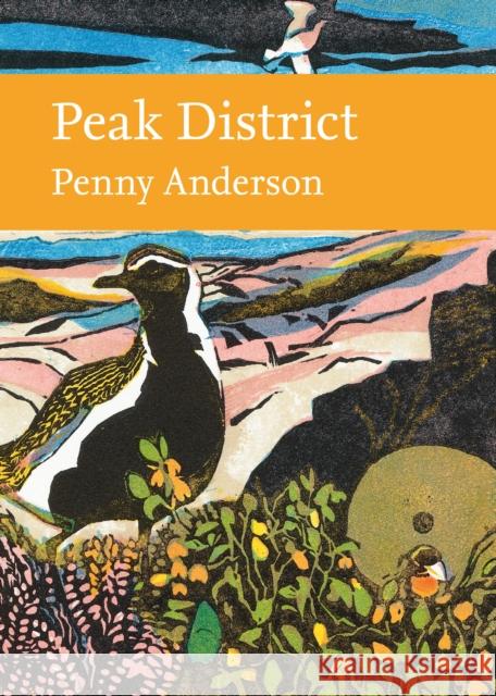 Peak District Anderson, Penny 9780008257378 HarperCollins Publishers - książka