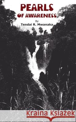 Pearls of Awareness Tendai R. Mwanaka 9789956763887 Langaa RPCID - książka