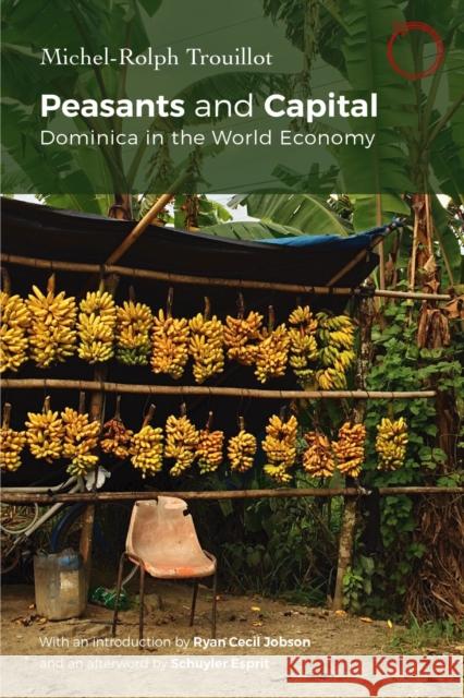 Peasants and Capital: Dominica in the World Economy Michel-Rolph Trouillot 9781914363221 HAU - książka