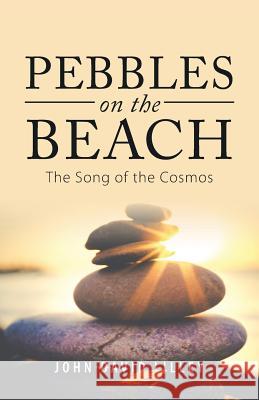 Pebbles on the Beach: The Song of the Cosmos John David Lilley 9781504393768 Balboa Press - książka