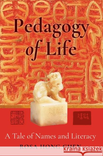 Pedagogy of Life; A Tale of Names and Literacy Bode, Sarah 9781433158452 Peter Lang Publishing - książka