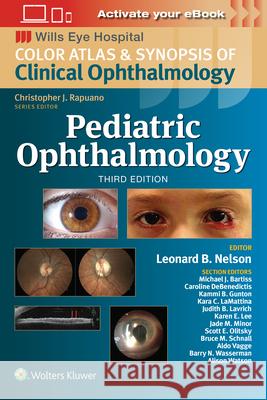 Pediatric Ophthalmology Leonard B. Nelson 9781975214906 LWW - książka