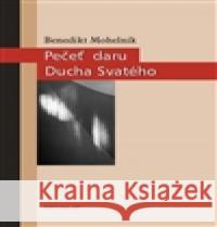 Pečeť daru Ducha Svatého Benedikt MohelnÃ­k 9788087183441 Krystal OP - książka