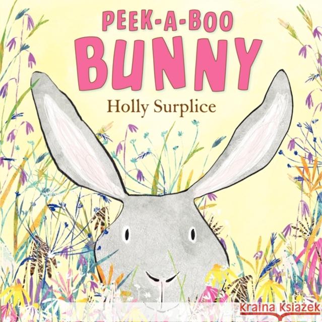 Peek-A-Boo Bunny Holly Surplice Holly Surplice 9780062242655 HarperCollins - książka