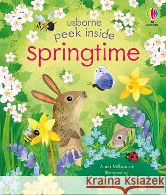 Peek Inside Springtime Anna Milbourne Stephanie Fize 9781835405130 Usborne Books - książka