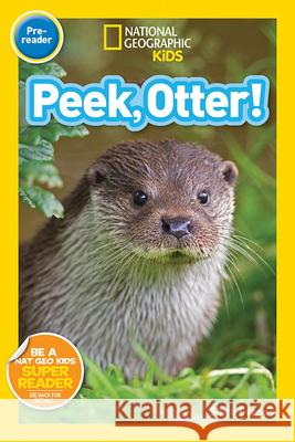Peek, Otter National Geographic Kids 9781426324369 National Geographic Society - książka