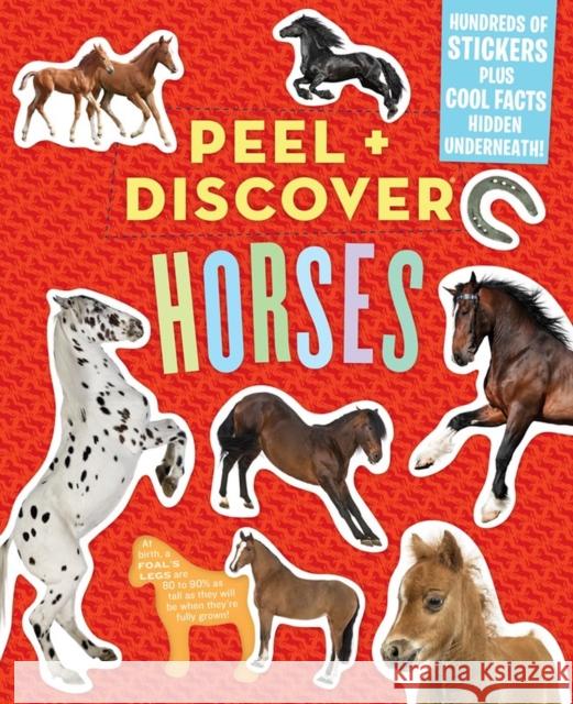 Peel + Discover: Horses Workman Publishing                       Chad Thomas Megan Butler 9781523503605 Workman Publishing - książka