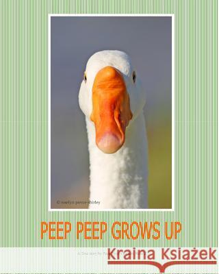 Peep Peep Grows Up Roselyn Pierce-Shirley 9781539678656 Createspace Independent Publishing Platform - książka