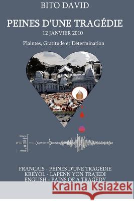 Peines d'Une Tragédie: 12 Janvier 2010 David, Bito 9781461052180 Createspace - książka