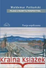 Pejzaż z rozmytą perspektywą Waldemar Potkański 9788367171908 Sowello - książka