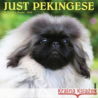 Pekingese 2026 12 X 12 Wall Calendar Willow Creek Press 9781549252358 Willow Creek Press Calendars - książka