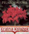 Pelargoniums Blaise Cooke 9781780192734 Anness Publishing
