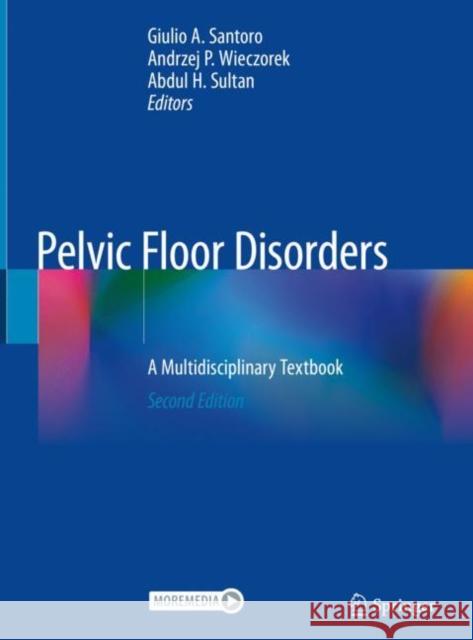 Pelvic Floor Disorders: A Multidisciplinary Textbook Santoro, Giulio A. 9783030408619 Springer - książka