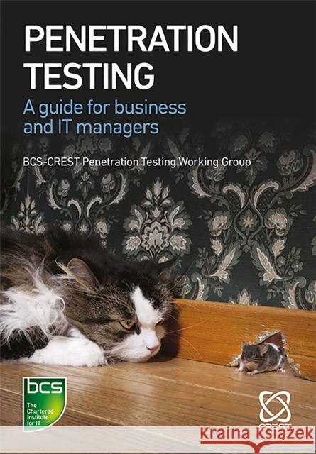 Penetration Testing: A Guide for Business and IT Managers Hayes, James 9781780174082 BCS, The Chartered Institute for IT - książka