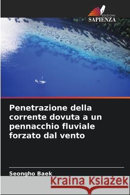 Penetrazione della corrente dovuta a un pennacchio fluviale forzato dal vento Baek, Seongho 9786209302091 Edizioni Sapienza - książka