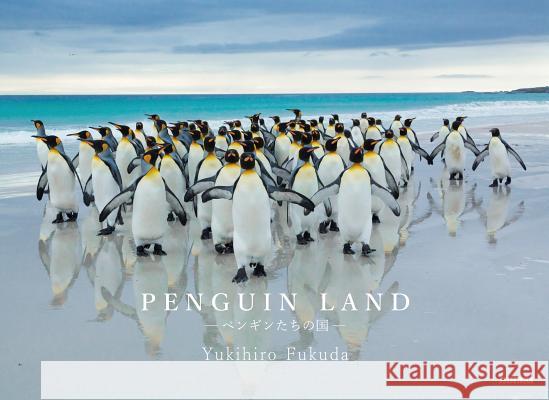 Penguin Land Yukihiro Fukuda 9784883501830 Seiseisha - książka