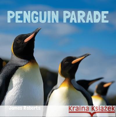 Penguin Parade James Roberts 9781486729135 Flowerpot Press - książka