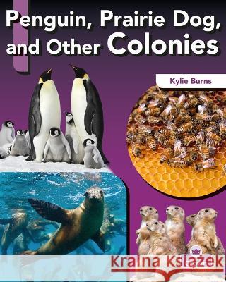 Penguin, Prairie Dog, and Other Colonies Kylie Burns 9781039806542 Crabtree Crown - książka