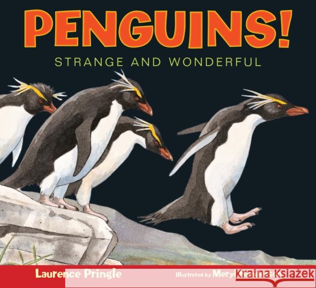 Penguins! Laurence Pringle Meryl Henderson 9781620915912 Boyds Mills Press - książka