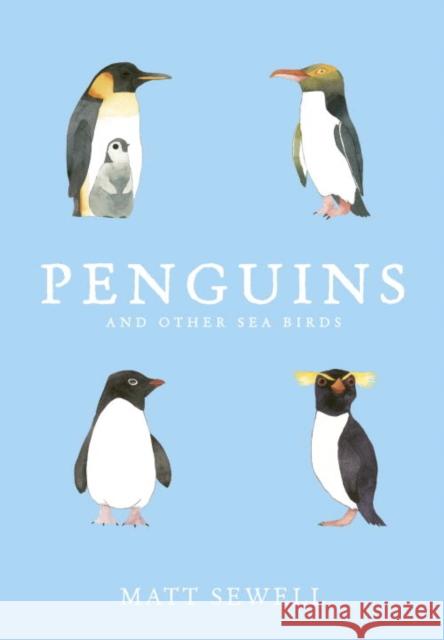 Penguins and Other Sea Birds Matt Sewell 9781785032226 Ebury Press - książka