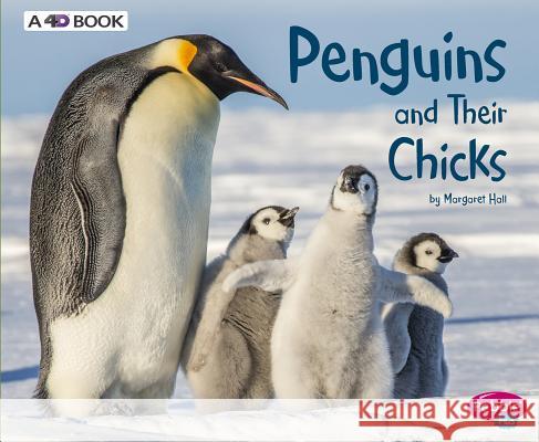 Penguins and Their Chicks: A 4D Book Margaret Hall 9781543508376 Capstone Press - książka