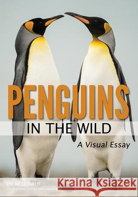 Penguins in the Wild  9781682033722 Amherst Media - książka