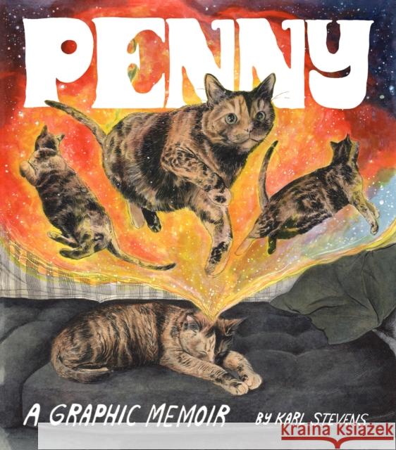 Penny: A Graphic Memoir Karl Stevens 9781452183053 Chronicle Books - książka