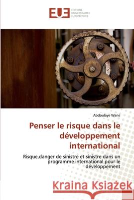 Penser le risque dans le développement international Wane-A 9786131560965 Editions Universitaires Europeennes - książka