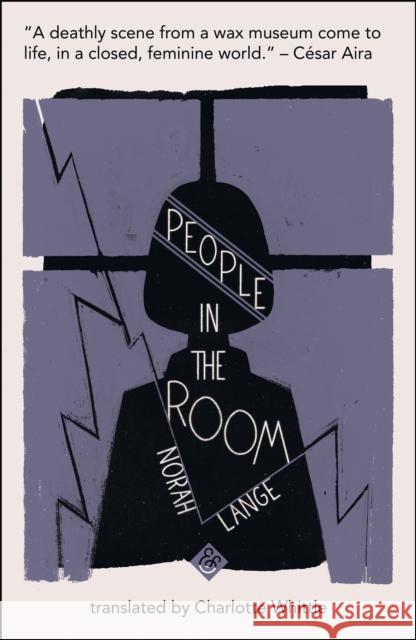 People in the Room Norah Lange 9781911508229 And Other Stories - książka