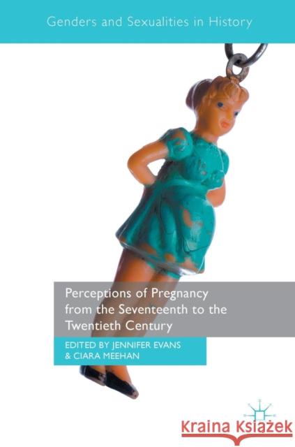 Perceptions of Pregnancy from the Seventeenth to the Twentieth Century Jennifer Evans Ciara Meehan 9783319441672 Springer International Publishing AG - książka