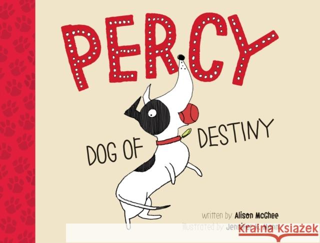 Percy, Dog of Destiny Alison McGhee Jennifer K. Mann 9781590789841 Boyds Mills Press - książka