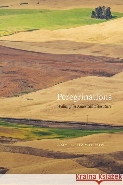 Peregrinations: Walking in American Literature Amy T. Hamilton 9781943859641 University of Nevada Press - książka