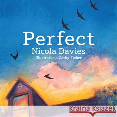 Perfect Nicola Davies 9781912213498 Graffeg Limited - książka
