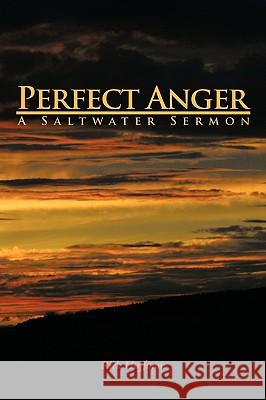 Perfect Anger: A Saltwater Sermon Huffman, Rick 9781438957586 Authorhouse - książka