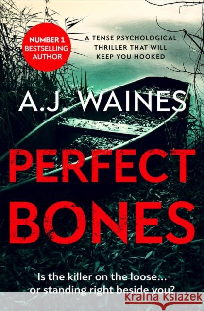 Perfect Bones: A Tense Psychological Thriller That Will Keep You Hooked Waines, Aj 9781912604883 Bloodhound Books - książka