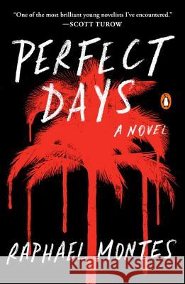 Perfect Days Raphael Montes 9780143129998 Penguin Books - książka