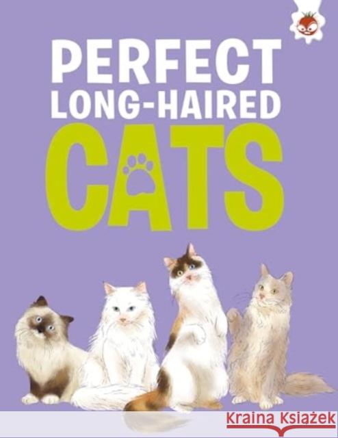 Perfect Long-Haired Cats Eliza Jeffrey 9781835693469 Hungry Tomato Ltd - książka