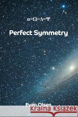 Perfect Symmetry Evan Olsen 9781644267066 Rosedog Books - książka