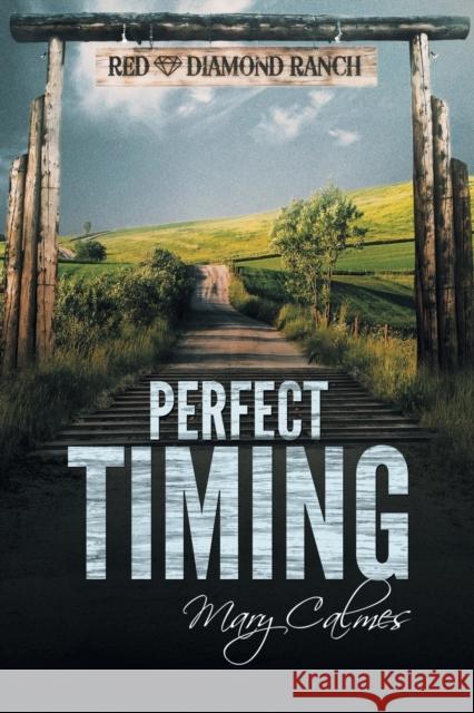 Perfect Timing Mary Calmes   9781634778442 Dreamspinner Press - książka